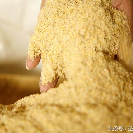 生物发酵饲料 2